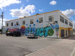 Focus Murals